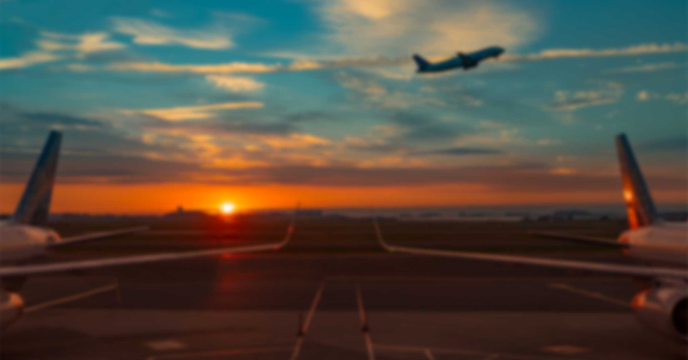 Parking Lot Management Software with License Plate Recognition